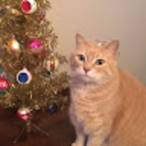 Meet your Posher, Joanne